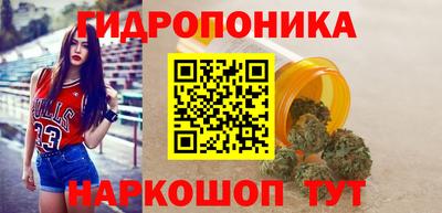 мдпв Гатчина