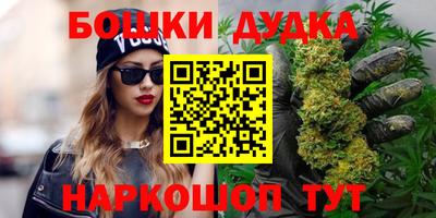 мдпв Гатчина