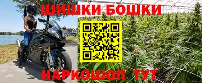 мдпв Гатчина