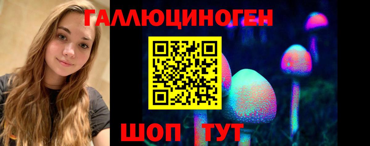 Заречный  Псилоцибиновые грибы Magic Shrooms  Вход с VPN  Галлюциногенные грибы Psilocybe 